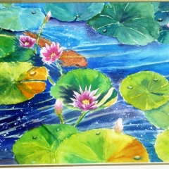 Waterlily-Pond