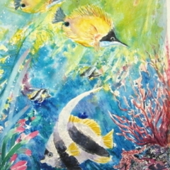 yvonne west angelfish watercolour 21x14" uf