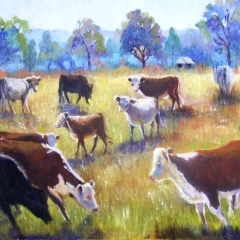 Cow Pastures 1